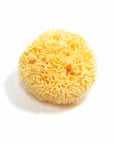 Natural Sea Sponge: Honeycomb