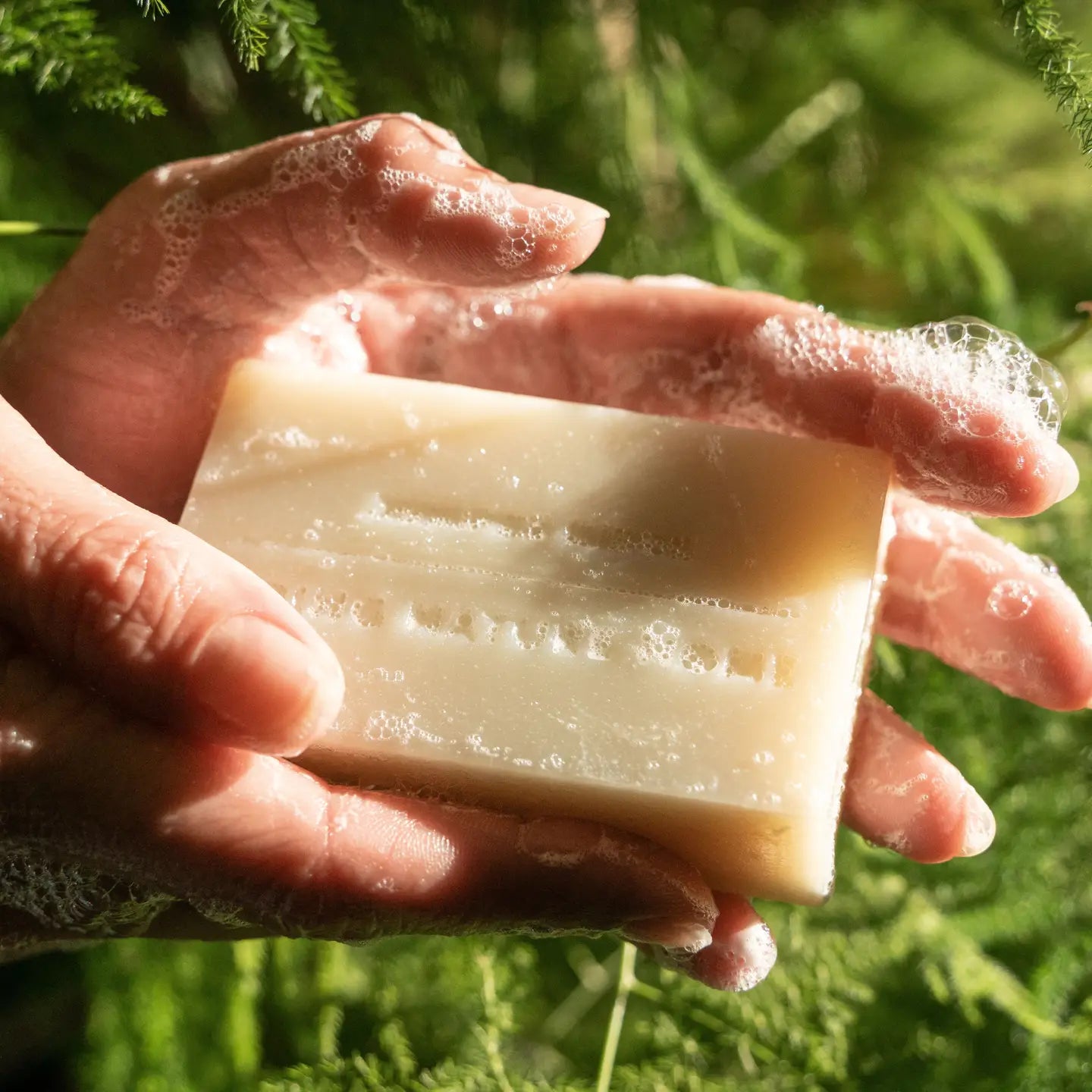 Juniper Ridge Organic Bar Soap
