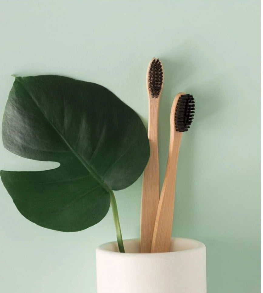 Bamboo Toothbrush