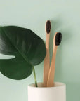 Bamboo Toothbrush
