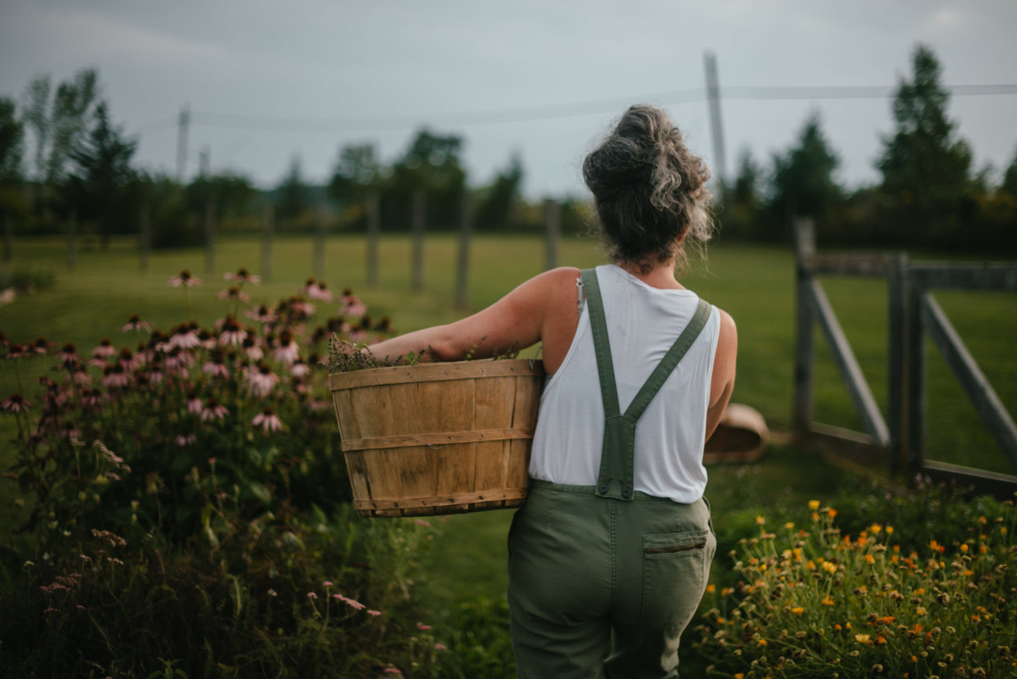 What is Whole-Plant Skincare?