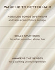 Innersense Overnight Repair Serum