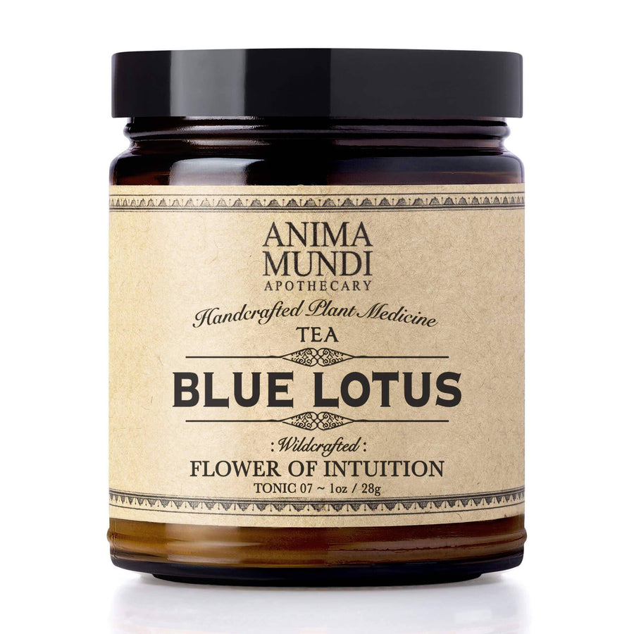 Blue Lotus | Flower of Intuition